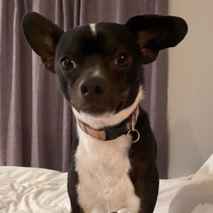 Meet your Posher, Heather